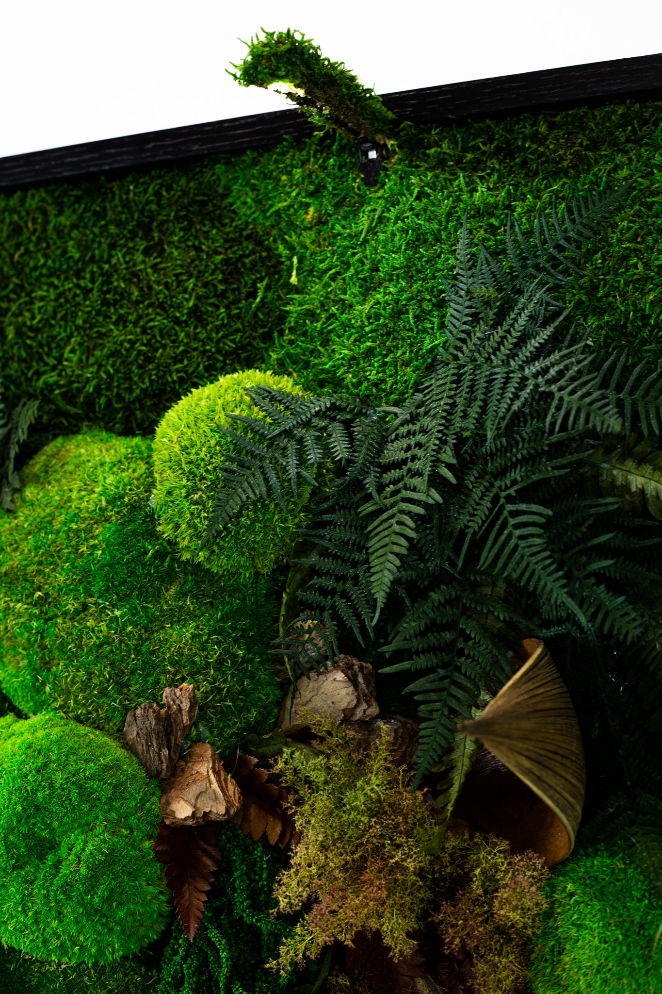 Handgefertigte Pflanzenkunst aus wildem Dschungel | Mooskunst | Kunst aus Eiche und Pflanzen | Einzigartiges Deko-Element | Originelle LED-Wandkunst