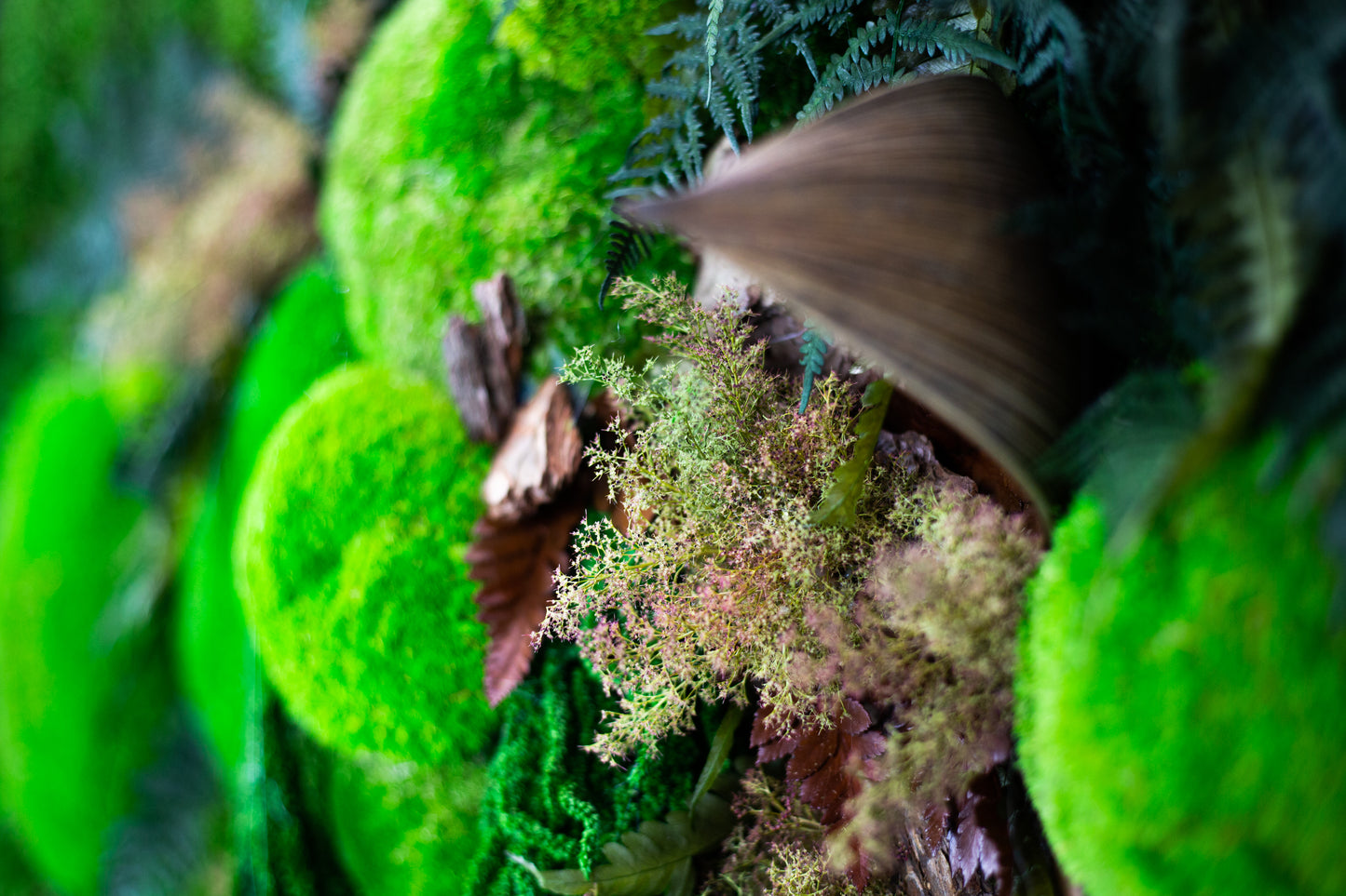 Handgefertigte Pflanzenkunst aus wildem Dschungel | Mooskunst | Kunst aus Eiche und Pflanzen | Einzigartiges Deko-Element | Originelle LED-Wandkunst