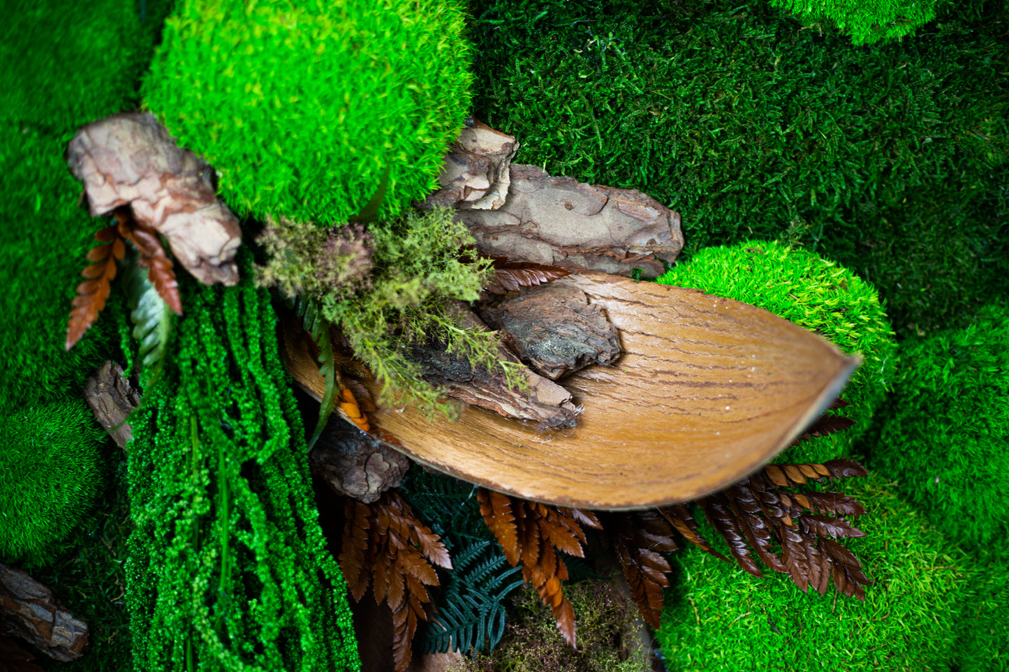 Handgefertigte Pflanzenkunst aus wildem Dschungel | Mooskunst | Kunst aus Eiche und Pflanzen | Einzigartiges Deko-Element | Originelle LED-Wandkunst