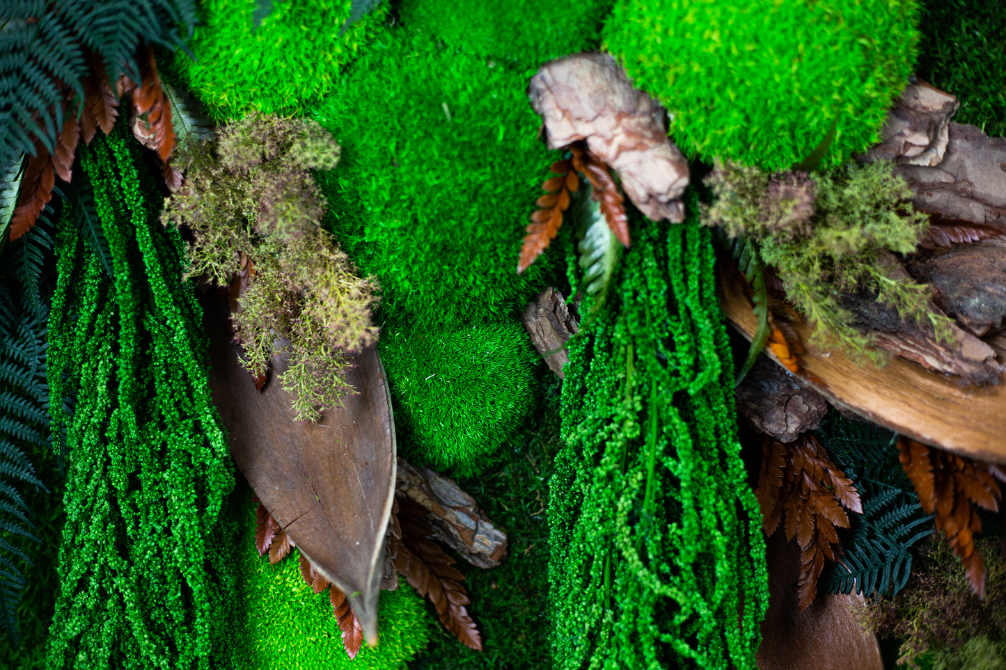 Handgefertigte Pflanzenkunst aus wildem Dschungel | Mooskunst | Kunst aus Eiche und Pflanzen | Einzigartiges Deko-Element | Originelle LED-Wandkunst