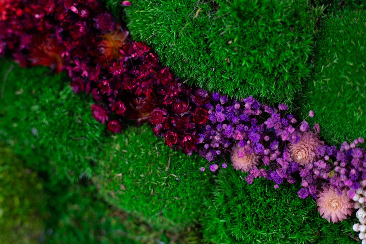 Handgefertigte Pflanzenkunst | Mooskunst | Wandkunst aus Eiche und Pflanzen | Einzigartiges Deko-Element | LED-Wandkunst