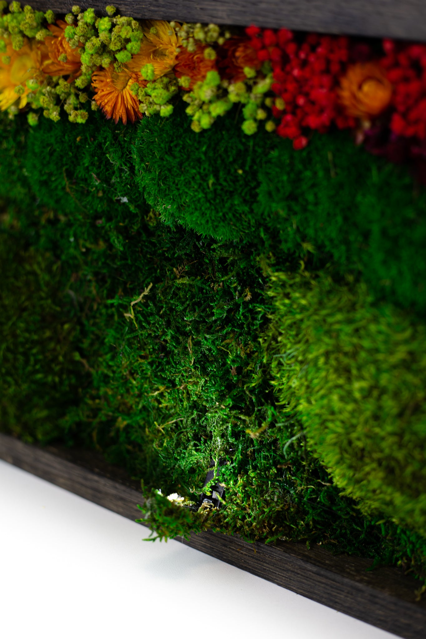 Handgefertigte Pflanzenkunst | Mooskunst | Wandkunst aus Eiche und Pflanzen | Einzigartiges Deko-Element | LED-Wandkunst