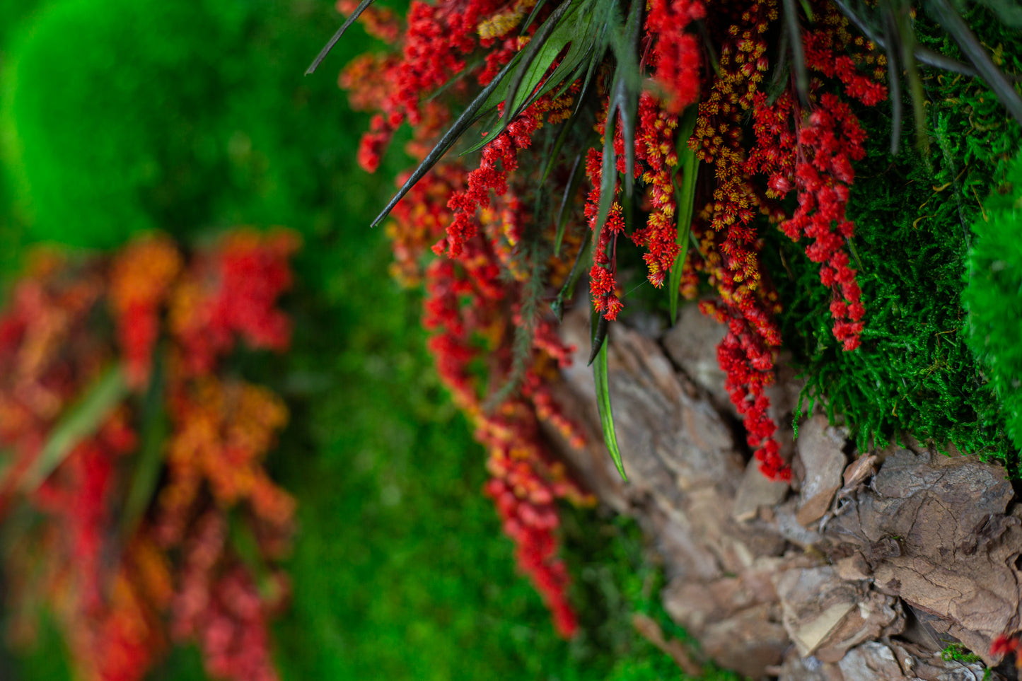 Handgefertigte Pflanzenkunst mit roten Blüten | Mooskunst | Kunst aus Eiche und Pflanzen | Einzigartiges Deko-Element | Originelle LED-Wandkunst