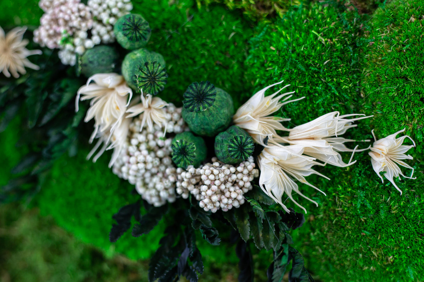 Handgefertigte Pflanzenkunst mit weißen Blüten | Mooskunst | Wandkunst aus Eichenholz und Pflanzen | Einzigartiges Deko-Element | Originelle LED-Wandkunst