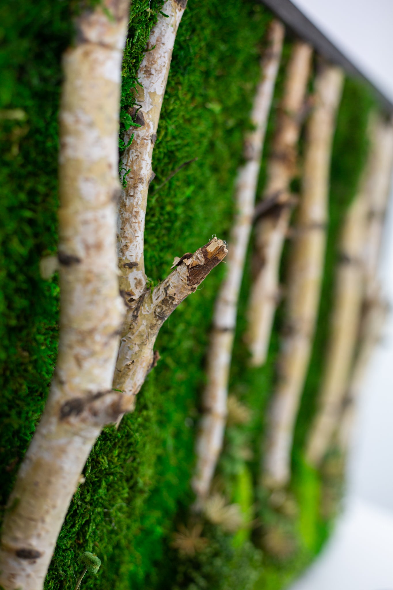 Handgefertigte Pflanzenkunst aus Holz | Mooskunst | Wandkunst aus Eiche und Pflanzen | Einzigartiges Deko-Element | Originelle LED-Wandkunst