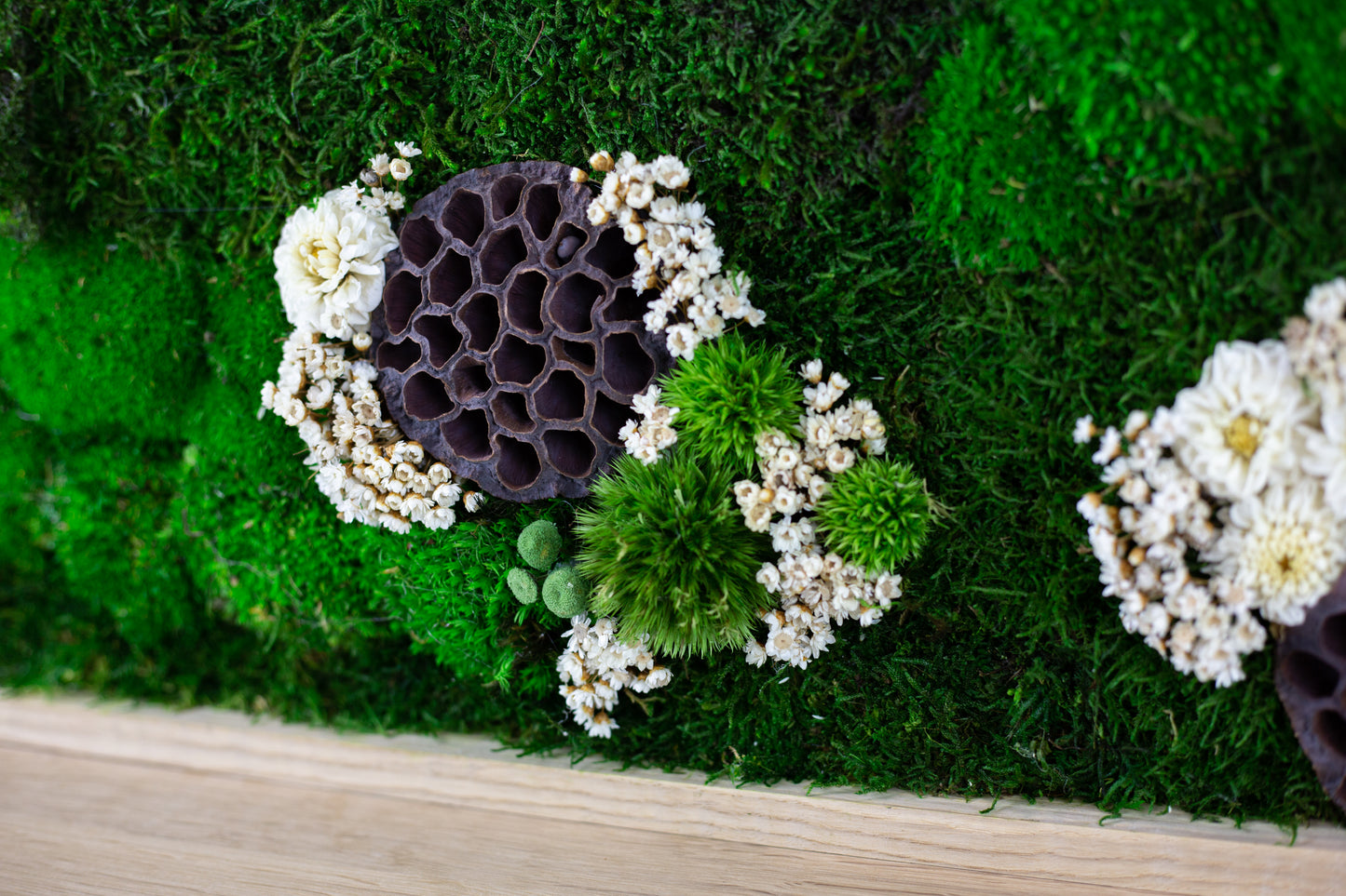 Authentisches, konserviertes Moos-Wandbild mit LED-Beleuchtung und lebendem Moos für Büro oder Zuhause, 1-teiliger Rahmen