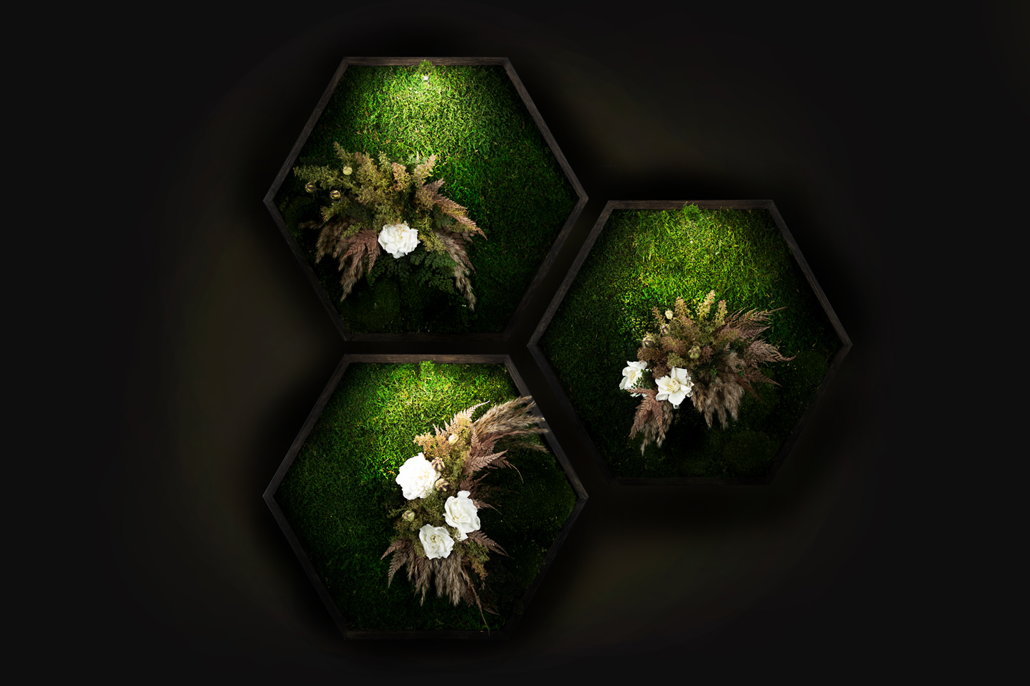 Handgefertigtes Pflanzenkunst-Set | Dreiteiliges Mooskunst-Set | Natürliche Eiche und Pflanzenkunst | Einzigartiges Wohnaccessoire | Originelle LED-Wandkunst