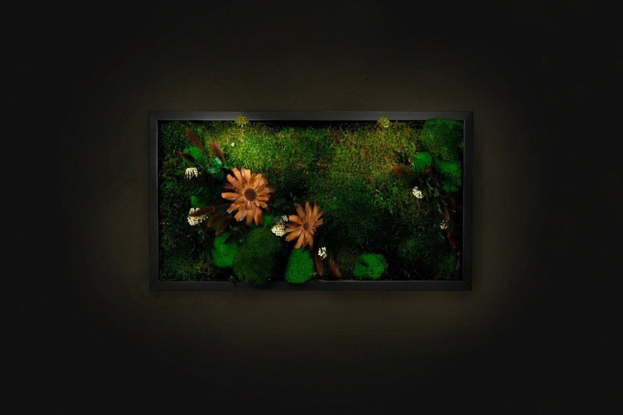 Hochwertige Wanddekoration aus konserviertem Moos mit LED-Beleuchtung, gerahmtes Moos-Wandbild, grüne Wanddekoration für Zimmer, Einzugsgeschenk