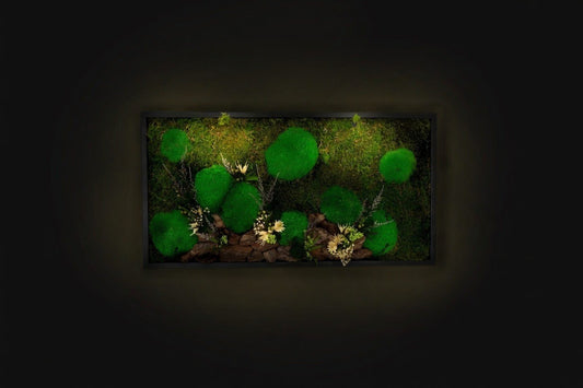 Atemberaubende grüne Wanddekoration: Wandbild aus konserviertem Moos mit LED-Beleuchtung, gerahmtes Wandbild mit konserviertem Moos und LED-Beleuchtung, ideales Geschenk für Zuhause