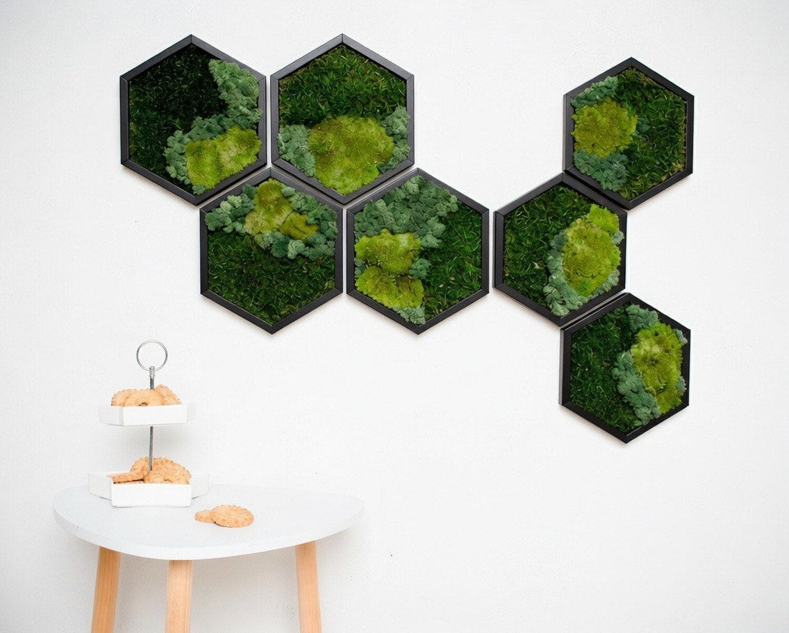 Wandbild aus wabenförmigem Moos, sechseckige Formen aus konserviertem Moos, Einzugsgeschenk