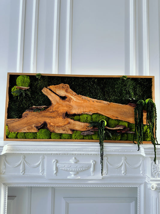 Handgefertigte Pflanzenkunst aus Holz | Mooskunst | Wandkunst aus Eiche und Pflanzen | Einzigartiges Deko-Element | Originelle LED-Wandkunst