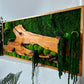 Handgefertigte Pflanzenkunst aus Holz | Mooskunst | Wandkunst aus Eiche und Pflanzen | Einzigartiges Deko-Element | Originelle LED-Wandkunst