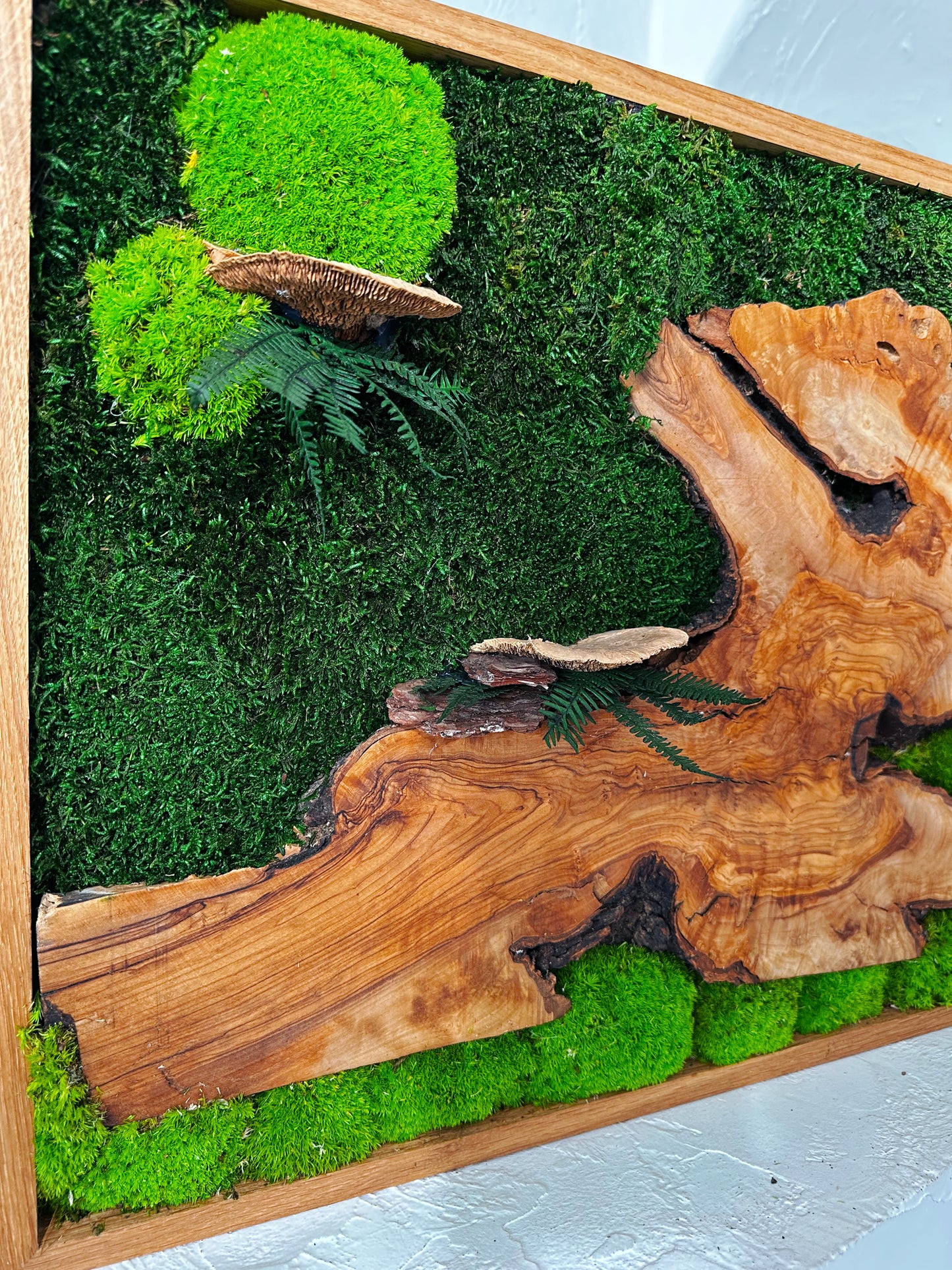 Handgefertigte Pflanzenkunst aus Holz | Mooskunst | Wandkunst aus Eiche und Pflanzen | Einzigartiges Deko-Element | Originelle LED-Wandkunst