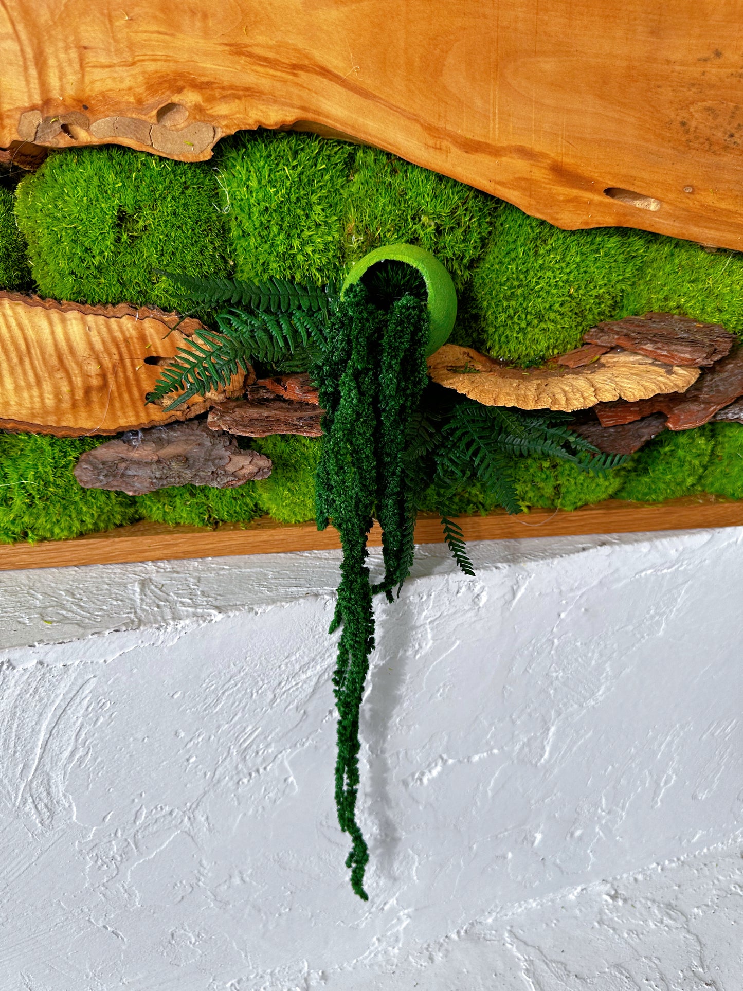 Handgefertigte Pflanzenkunst aus Holz | Mooskunst | Wandkunst aus Eiche und Pflanzen | Einzigartiges Deko-Element | Originelle LED-Wandkunst