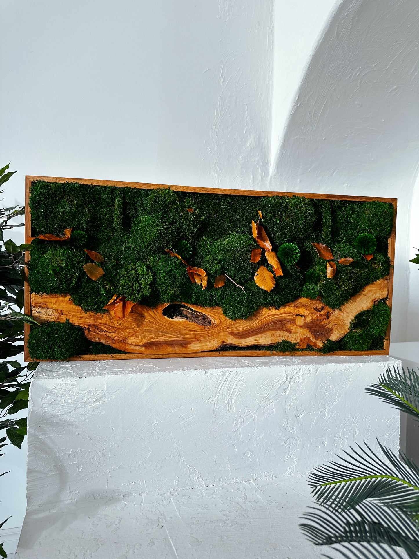 Handgefertigte Pflanzenkunst aus Holz | Mooskunst | Wandkunst aus Eiche und Pflanzen | Einzigartiges Deko-Element | Originelle LED-Wandkunst