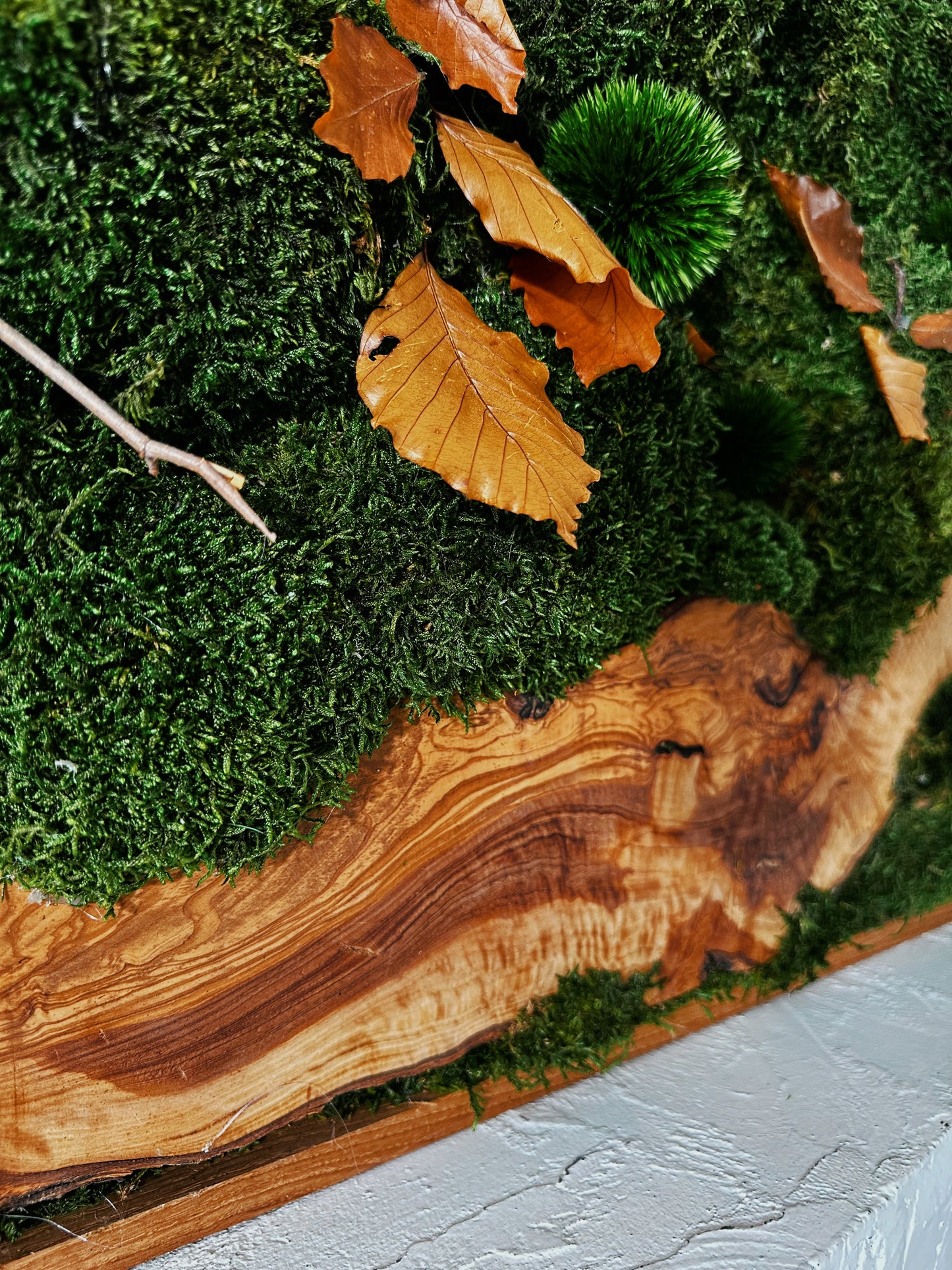 Handgefertigte Pflanzenkunst aus Holz | Mooskunst | Wandkunst aus Eiche und Pflanzen | Einzigartiges Deko-Element | Originelle LED-Wandkunst