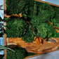 Handgefertigte Pflanzenkunst aus Holz | Mooskunst | Wandkunst aus Eiche und Pflanzen | Einzigartiges Deko-Element | Originelle LED-Wandkunst