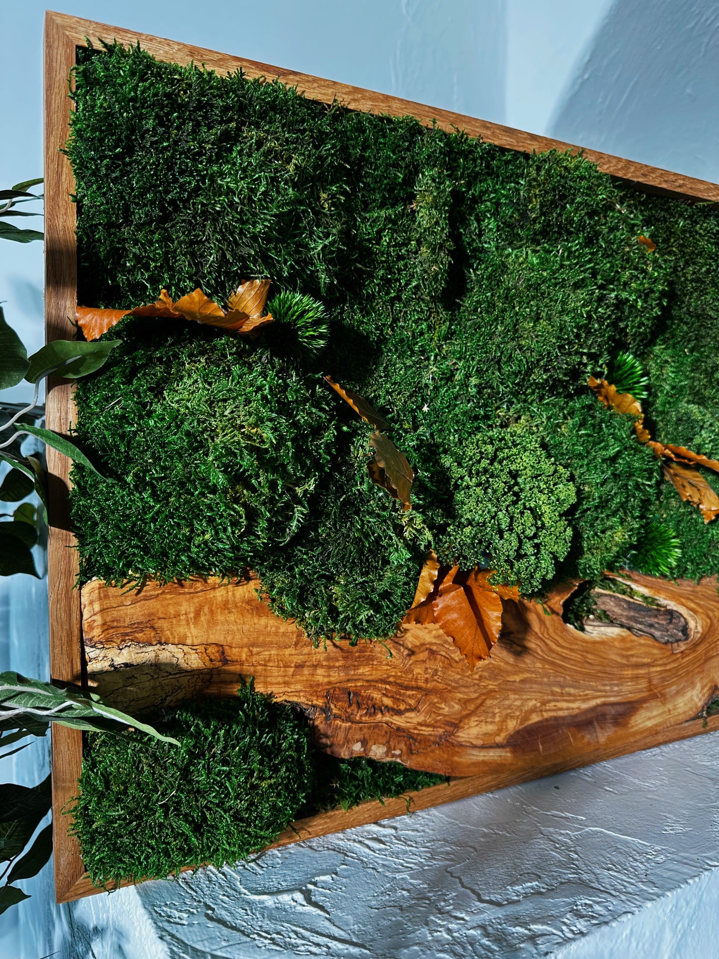 Handgefertigte Pflanzenkunst aus Holz | Mooskunst | Wandkunst aus Eiche und Pflanzen | Einzigartiges Deko-Element | Originelle LED-Wandkunst