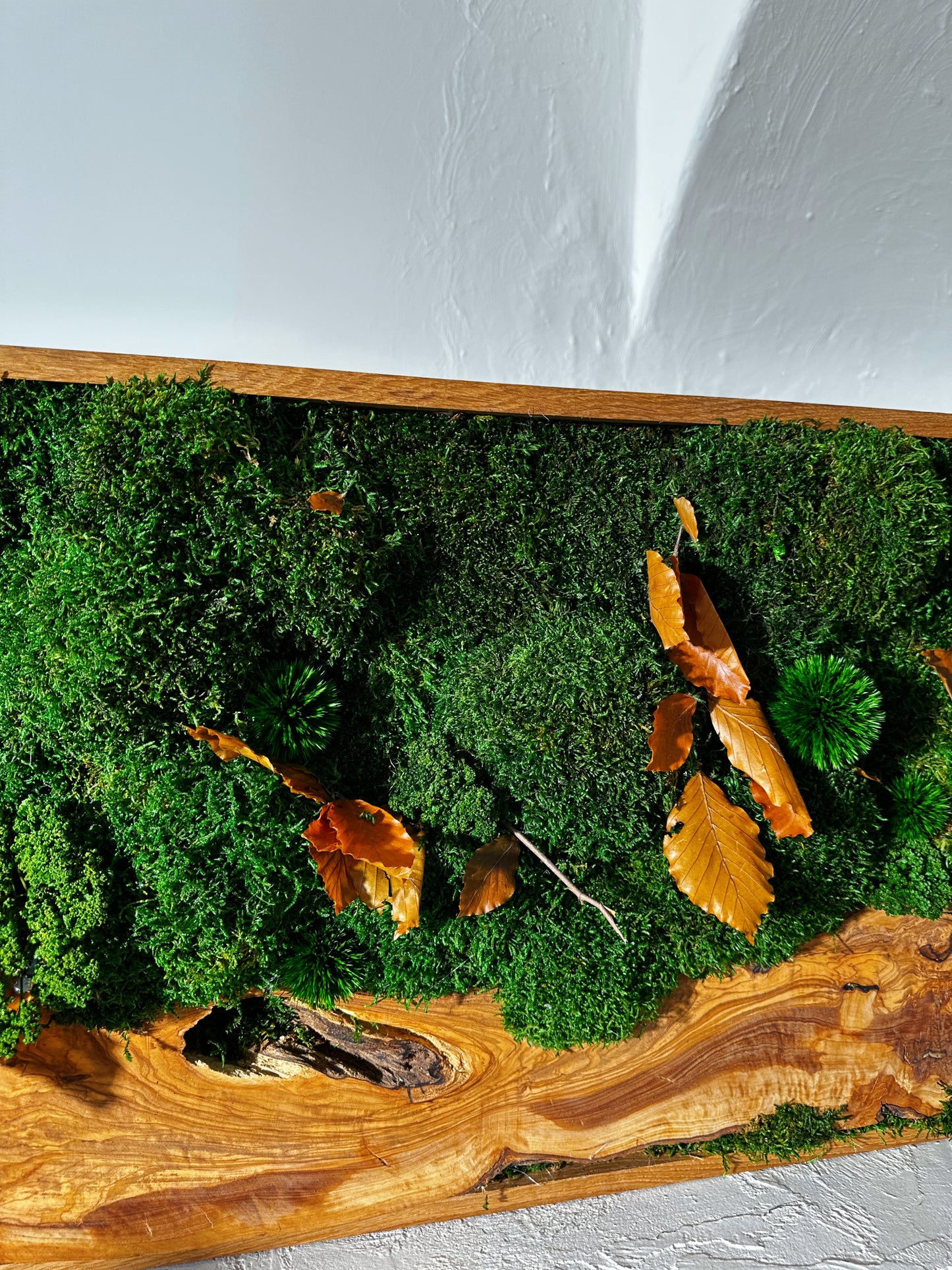 Handgefertigte Pflanzenkunst aus Holz | Mooskunst | Wandkunst aus Eiche und Pflanzen | Einzigartiges Deko-Element | Originelle LED-Wandkunst