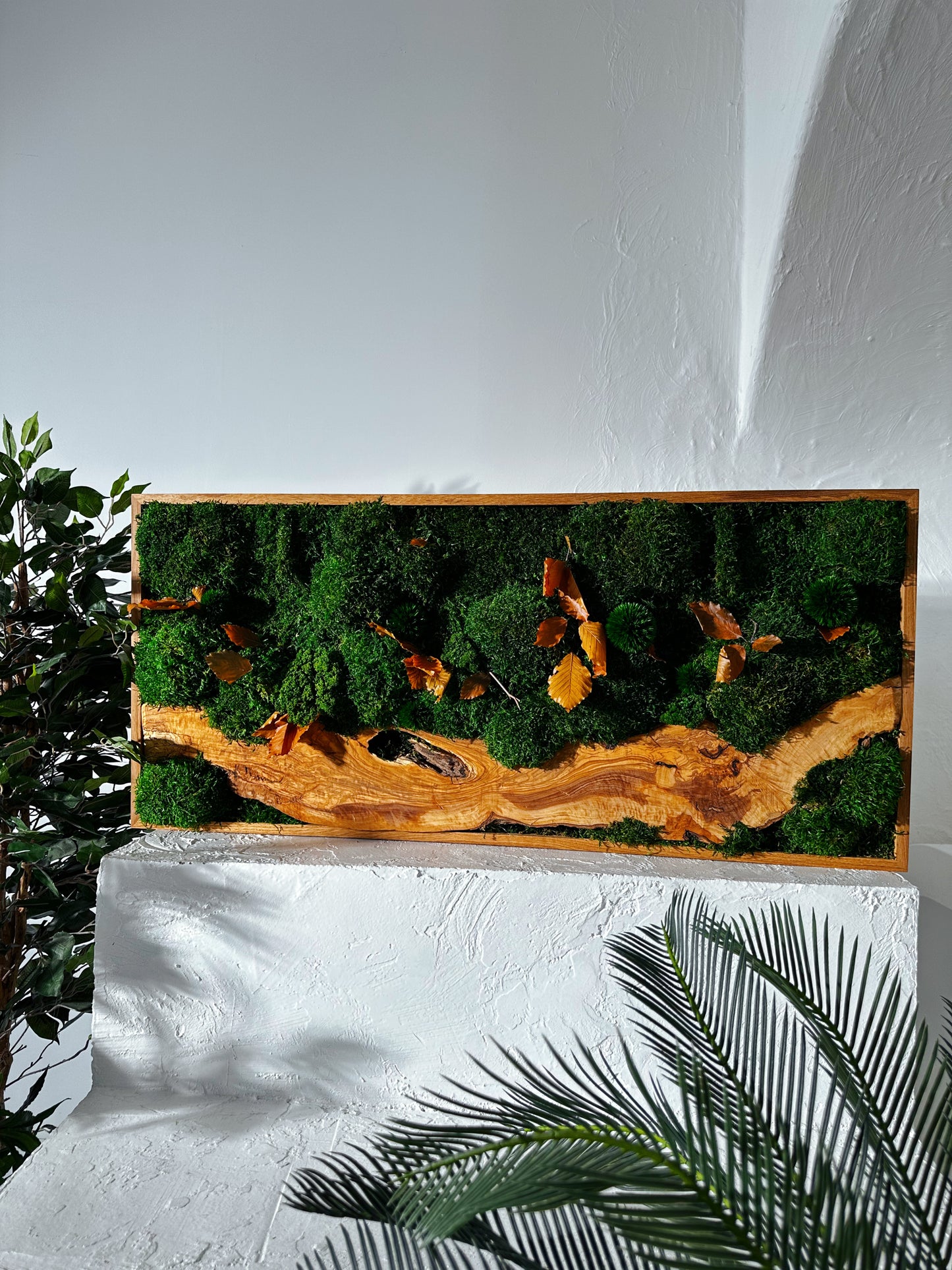 Handgefertigte Pflanzenkunst aus Holz | Mooskunst | Wandkunst aus Eiche und Pflanzen | Einzigartiges Deko-Element | Originelle LED-Wandkunst