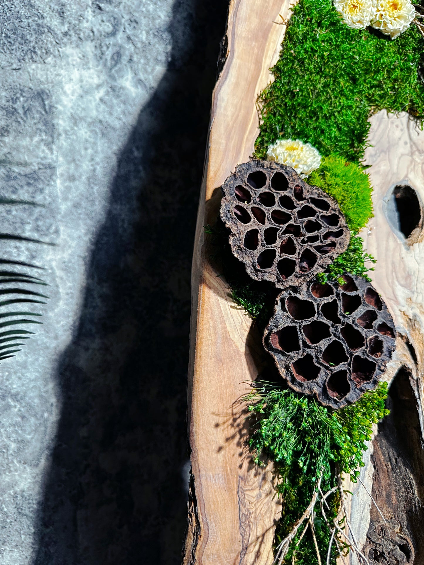 New White Olive Wood LED-Backlit Preserved Moss Art: Eco-Friendly, Green Wall Decor for Home