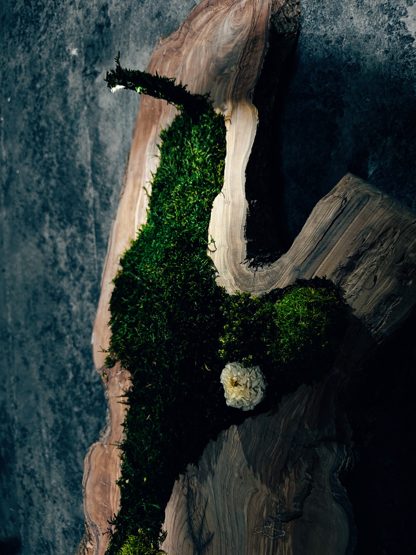 New White Olive Wood LED-Backlit Preserved Moss Art: Eco-Friendly, Green Wall Decor for Home