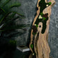 New White Olive Wood LED-Backlit Preserved Moss Art: Eco-Friendly, Green Wall Decor for Home