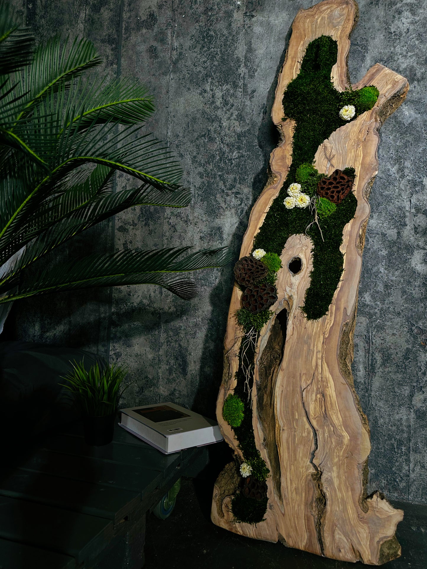 New White Olive Wood LED-Backlit Preserved Moss Art: Eco-Friendly, Green Wall Decor for Home