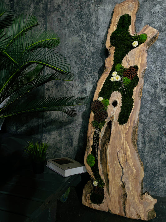 New White Olive Wood LED-Backlit Preserved Moss Art: Eco-Friendly, Green Wall Decor for Home