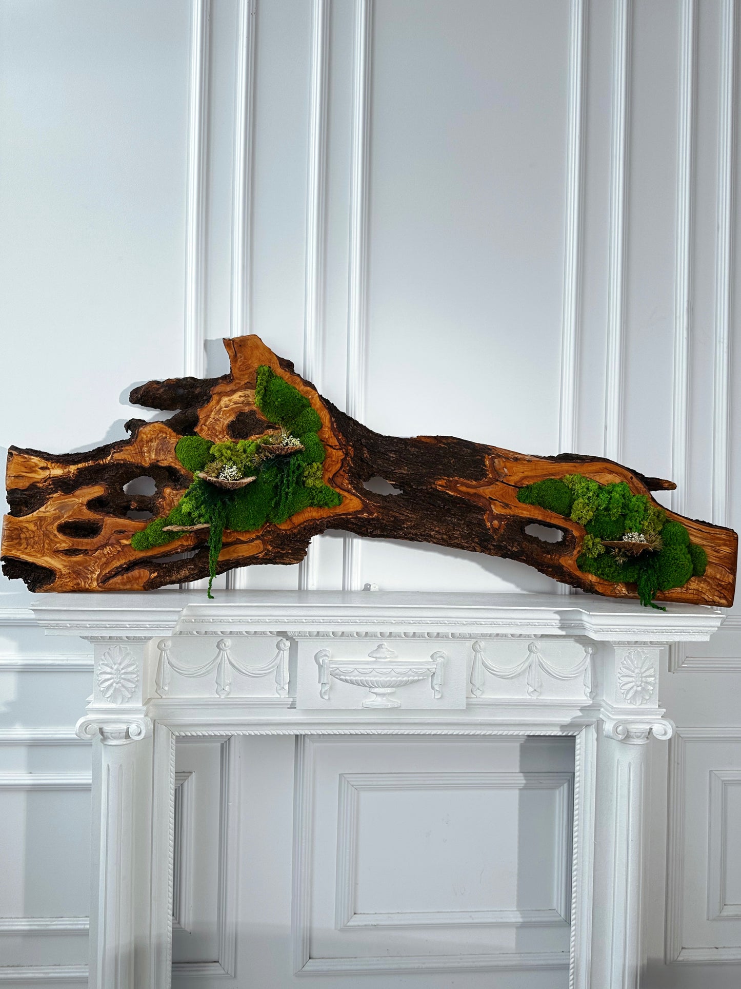 Wunderschönes Kunstwerk aus konserviertem Moos mit LED-Beleuchtung Lebendes Moos LED-Wandbild Konserviertes Moos