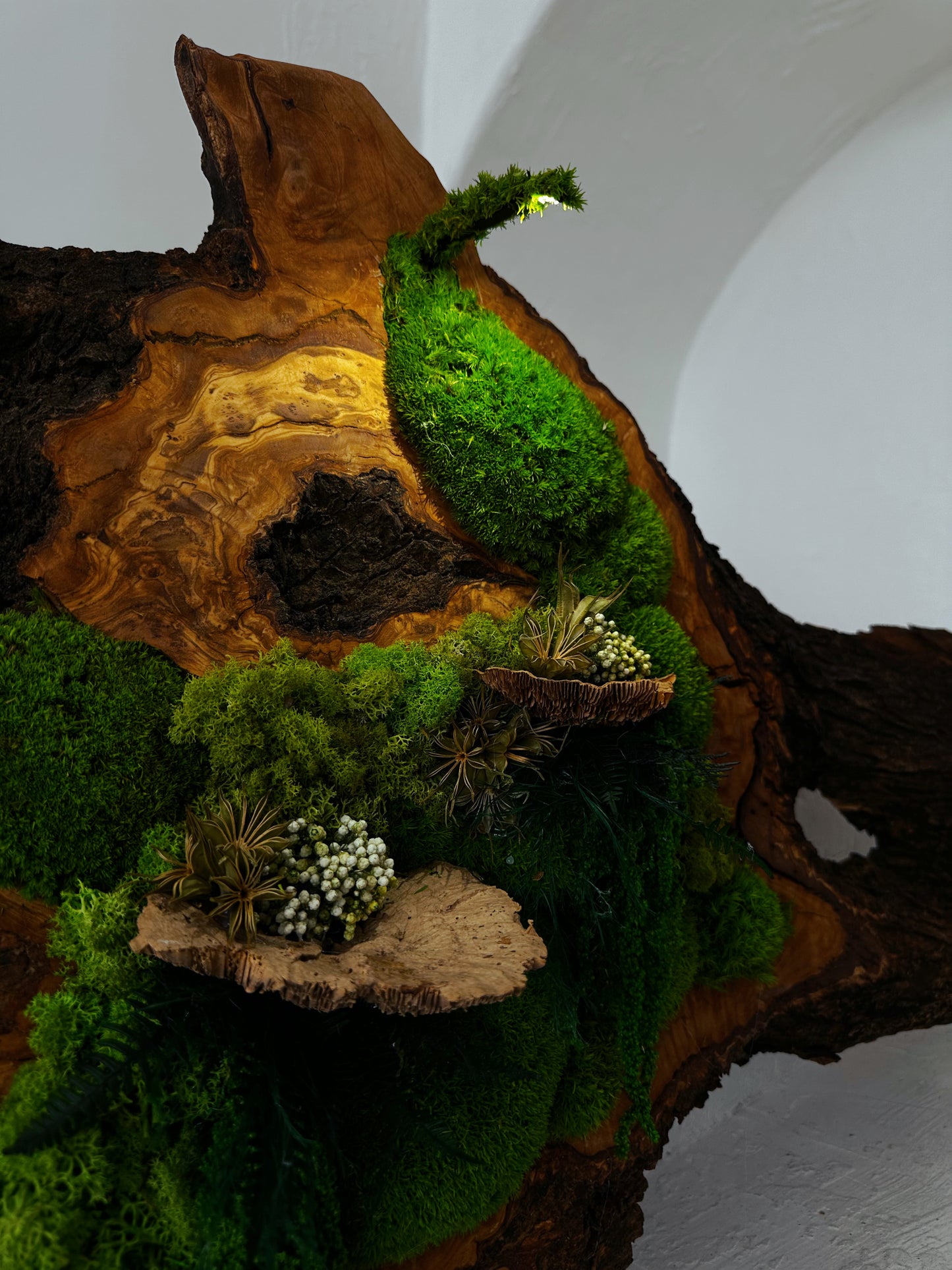 Wunderschönes Kunstwerk aus konserviertem Moos mit LED-Beleuchtung Lebendes Moos LED-Wandbild Konserviertes Moos