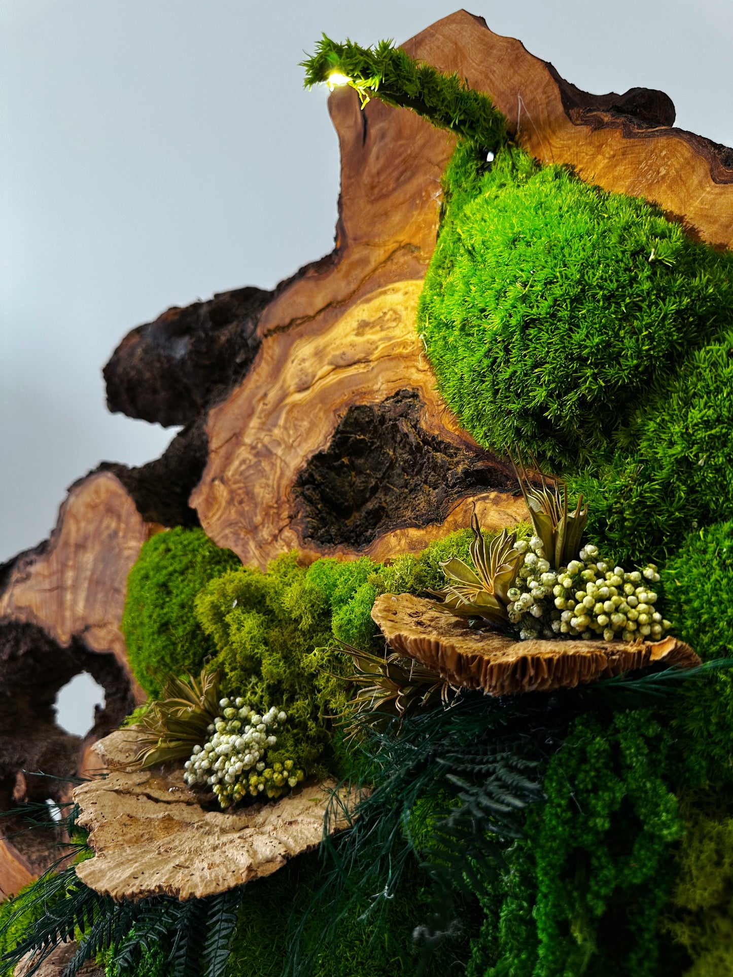 Wunderschönes Kunstwerk aus konserviertem Moos mit LED-Beleuchtung Lebendes Moos LED-Wandbild Konserviertes Moos