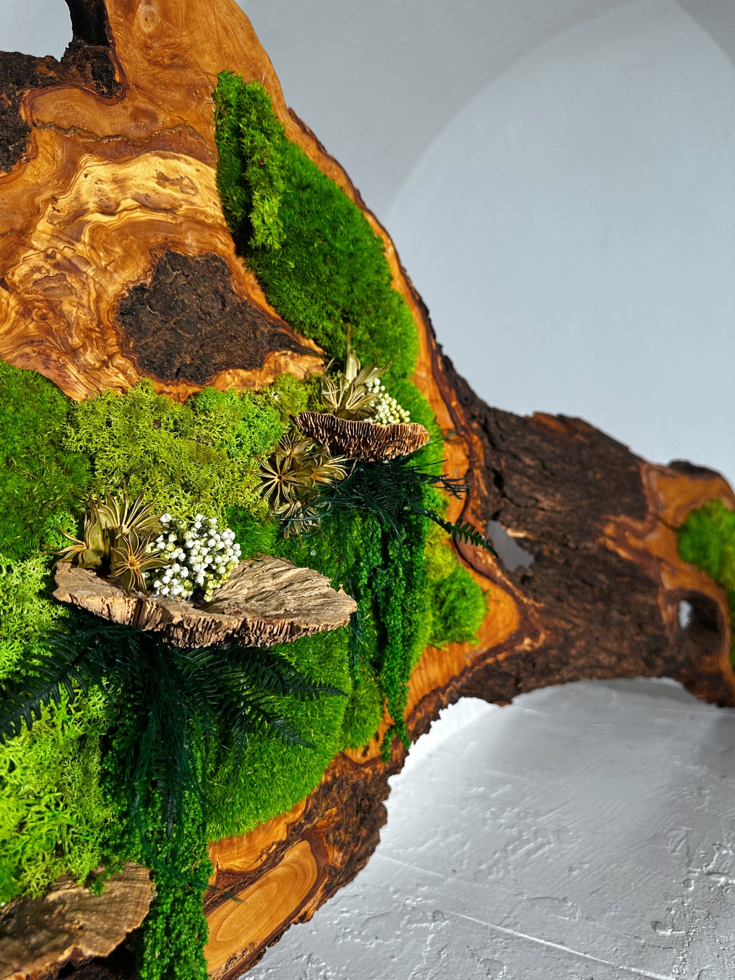 Wunderschönes Kunstwerk aus konserviertem Moos mit LED-Beleuchtung Lebendes Moos LED-Wandbild Konserviertes Moos