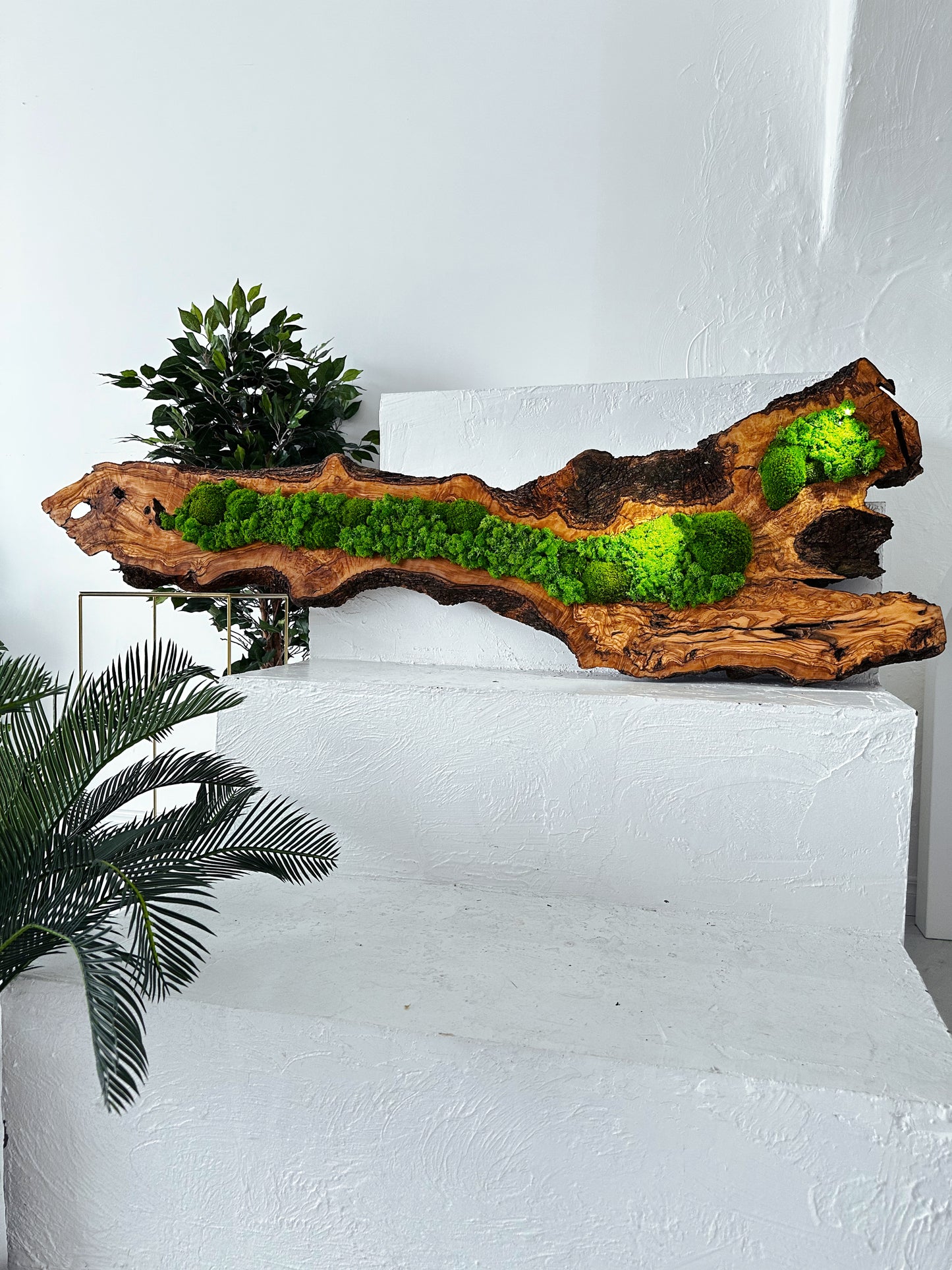 Wunderschönes Kunstwerk aus konserviertem Moos mit LED-Beleuchtung Lebendes Moos LED-Wandbild Konserviertes Moos