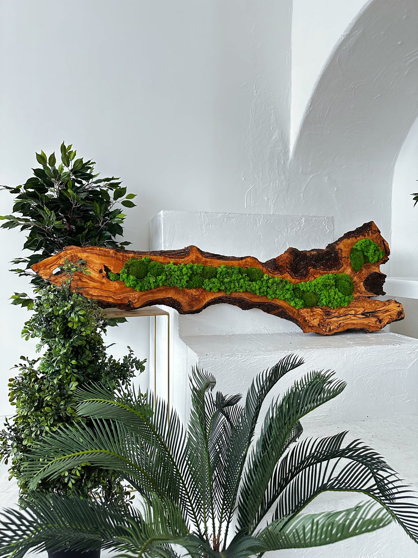 Wunderschönes Kunstwerk aus konserviertem Moos mit LED-Beleuchtung Lebendes Moos LED-Wandbild Konserviertes Moos