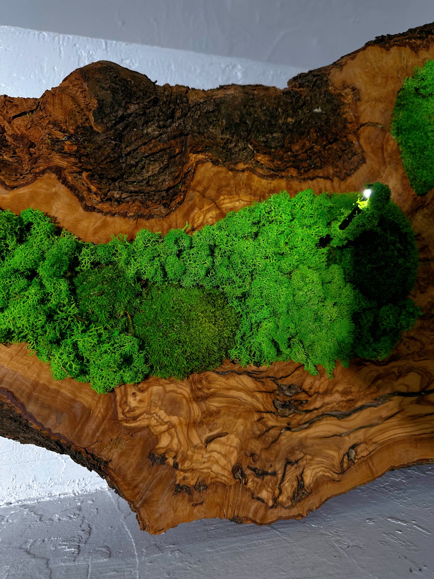 Wunderschönes Kunstwerk aus konserviertem Moos mit LED-Beleuchtung Lebendes Moos LED-Wandbild Konserviertes Moos