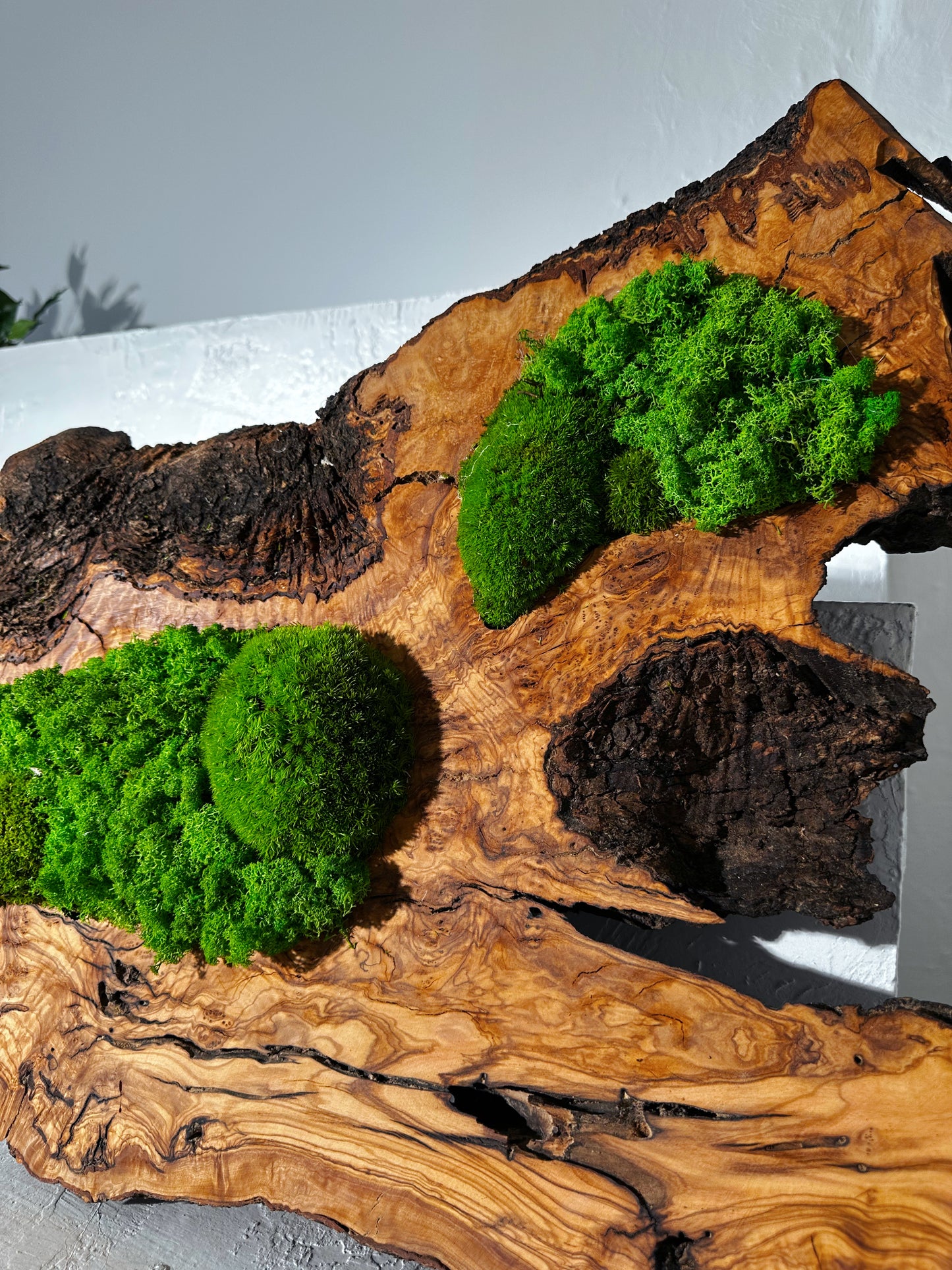 Wunderschönes Kunstwerk aus konserviertem Moos mit LED-Beleuchtung Lebendes Moos LED-Wandbild Konserviertes Moos