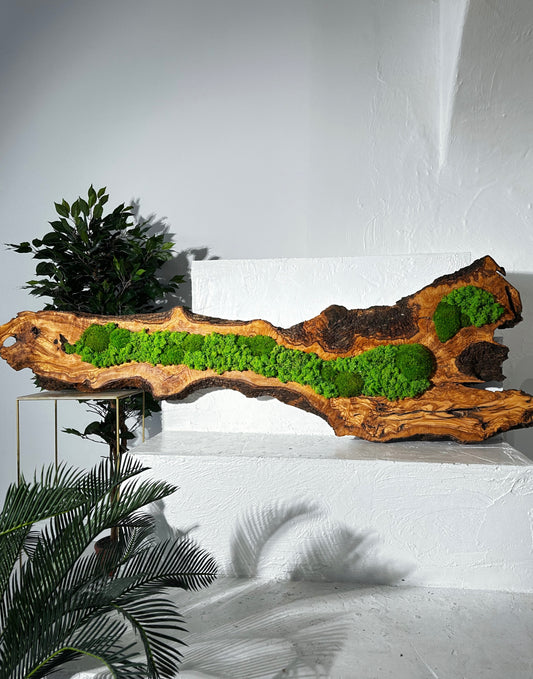 Wunderschönes Kunstwerk aus konserviertem Moos mit LED-Beleuchtung Lebendes Moos LED-Wandbild Konserviertes Moos