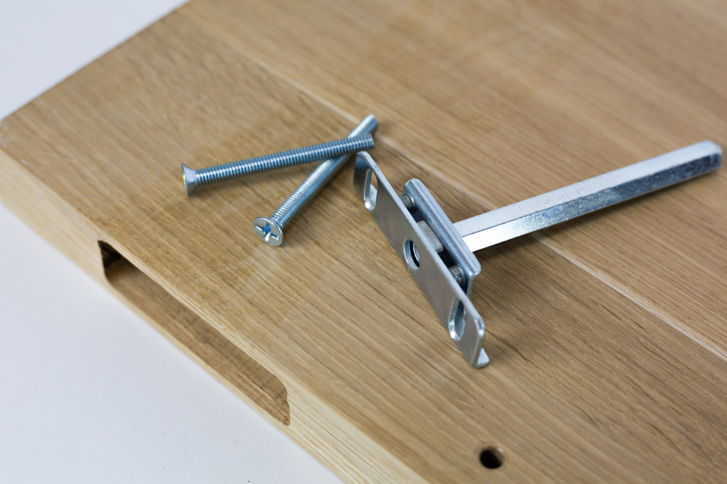 Handgefertigte Pflanzenkunstwerke für den Garten | Mooskunstwerke | Wandkunst aus Eiche und Pflanzen | Einzigartiges Wohnaccessoire | Originelle LED-Wandkunst