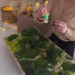 Wunderschöne Moos-Wandkunst mit LED-Beleuchtung – Lebendes Moos-LED-Kunstwerk – Gerahmte, konservierte Moos-Wandkunst mit Beleuchtung – Dekoration für Ihr Zuhause