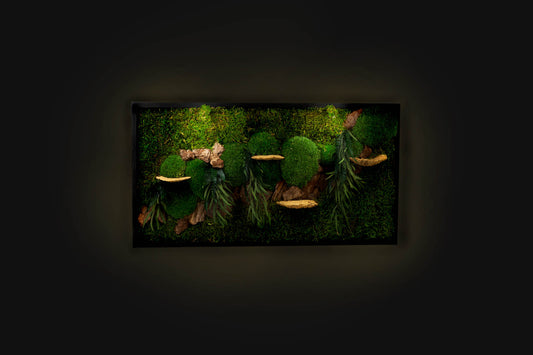 Wunderschöne grüne Wanddekoration aus konserviertem Moos mit LED-Beleuchtung, gerahmte Pflanzen-Wanddekoration