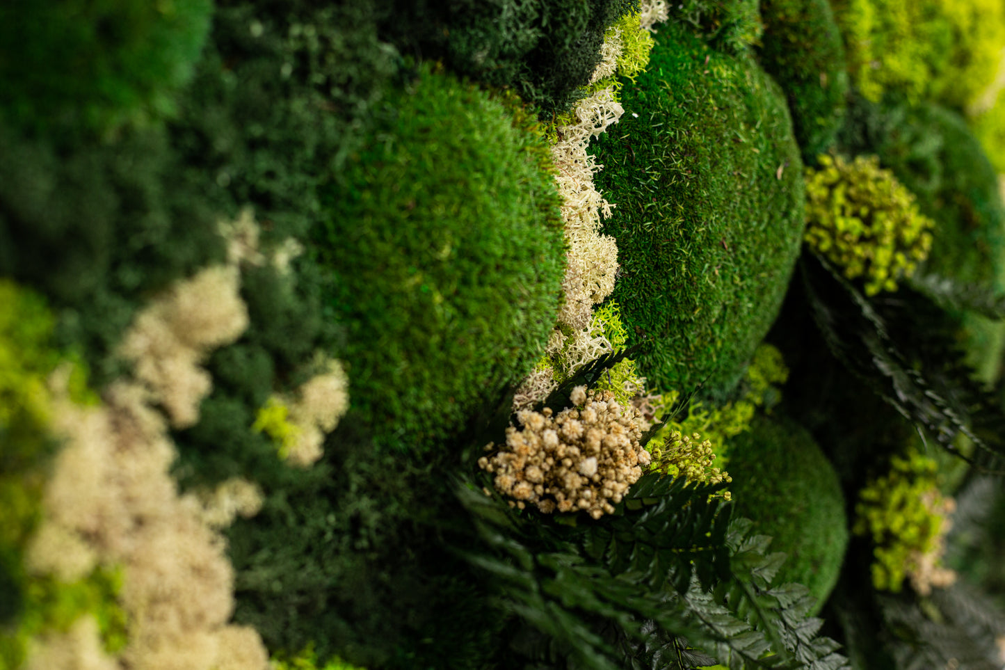 Wunderschöne Moos-Wandkunst mit LED-Beleuchtung – Lebendes Moos-LED-Kunstwerk – Gerahmte, konservierte Moos-Wandkunst mit Beleuchtung – Dekoration für Ihr Zuhause