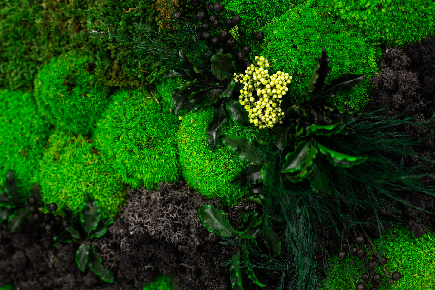 Lebendige, konservierte Moos-Wandkunst mit LED-Beleuchtung, gerahmte Moos-LED-Wanddekoration, grüne Zimmerdekoration, Einzugsgeschenk