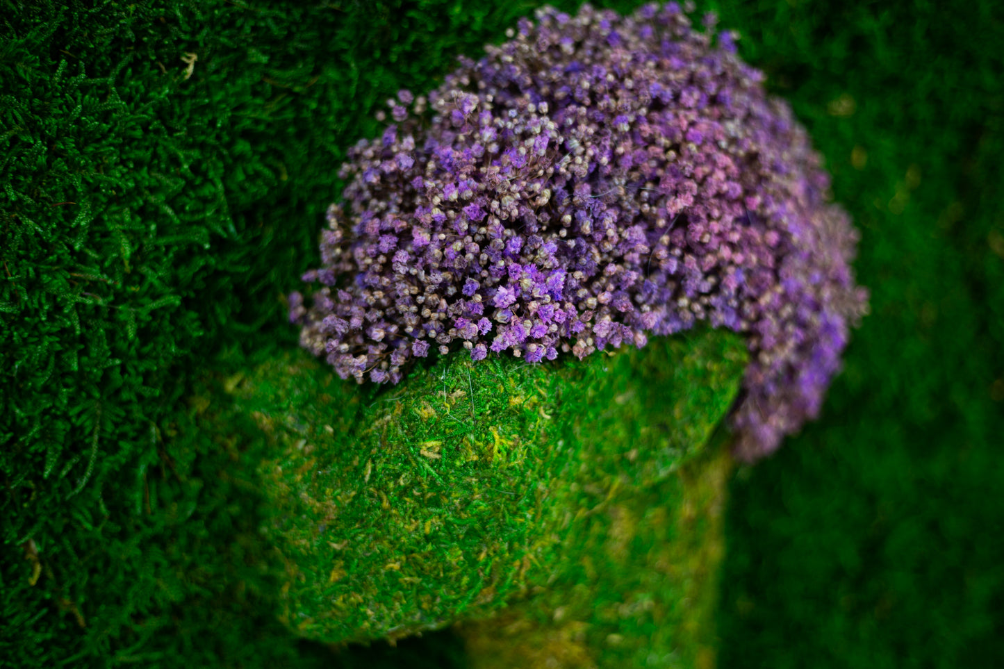 Luxuriöse grüne Wandkunst, weibliches Kunstwerk, konserviertes Moospaneel mit LED-Beleuchtung, gerahmte Moos-LED-Wandhängepflanze, Heimdekoration, Geschenk für Zuhause