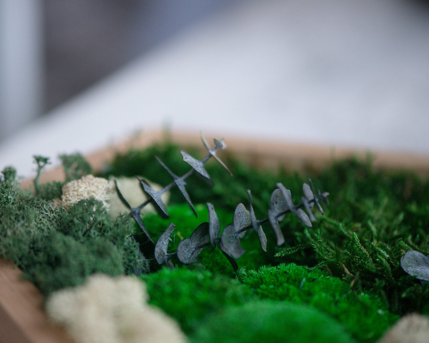 Wanddekoration aus konserviertem Moos: Das perfekte Naturgeschenk für Paare, Weihnachten 2023!