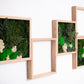 Kunstpaneele aus konserviertem Moos: Das perfekte Weihnachtsgeschenk für alle, die ihre Wohnungseinrichtung lieben!