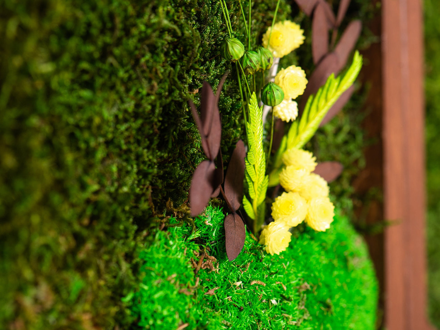 Minimalistische Mooskunst: Wabenförmige Wanddekoration fürs Homeoffice – Luftreinigendes Weihnachtsgeschenk!