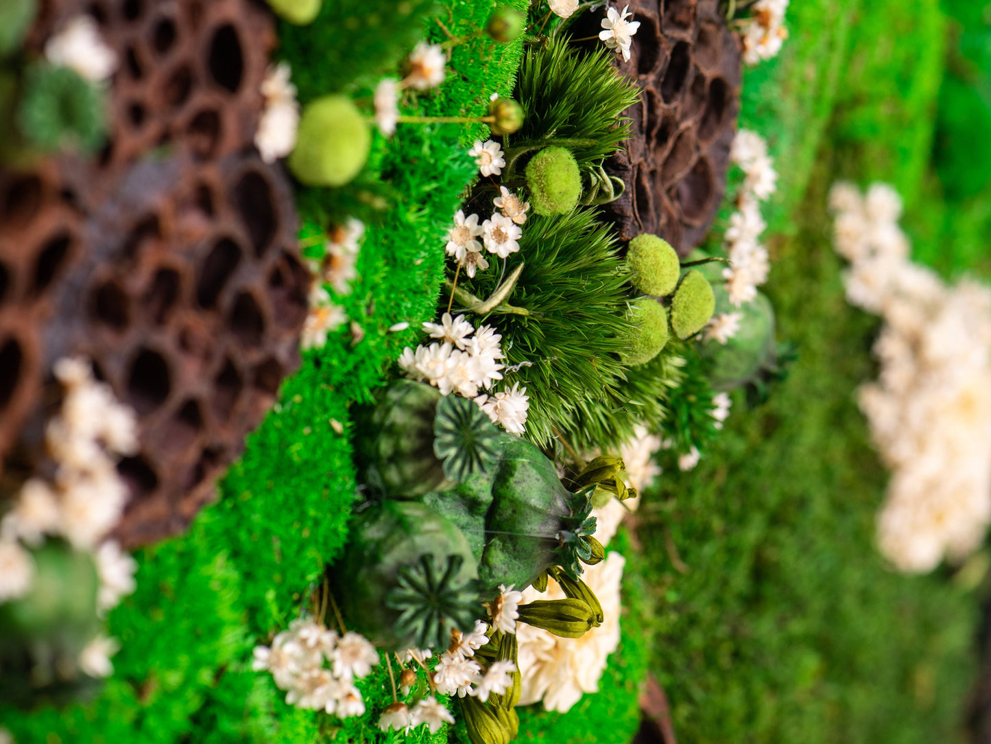 Kunstwerke aus konserviertem Moos: Umweltfreundliche grüne Wanddekoration für die Inneneinrichtung – das perfekte Einzugsgeschenk!