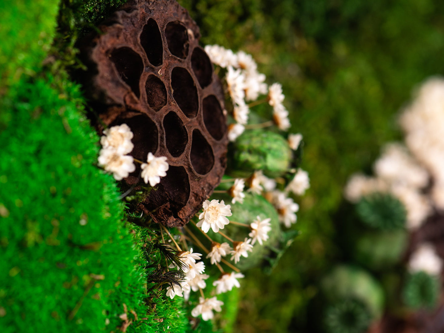 Erleben Sie die Magie der Natur in Ihren Innenräumen mit unseren umweltfreundlichen Wandbildern aus konserviertem Moos!