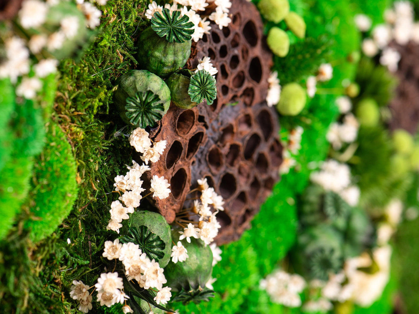 Kunstwerke aus konserviertem Moos: Umweltfreundliche grüne Wanddekoration für die Inneneinrichtung – das perfekte Einzugsgeschenk!